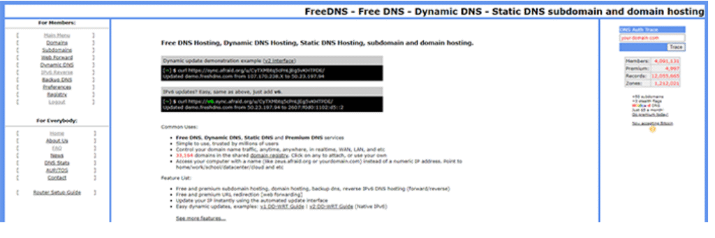 free dns