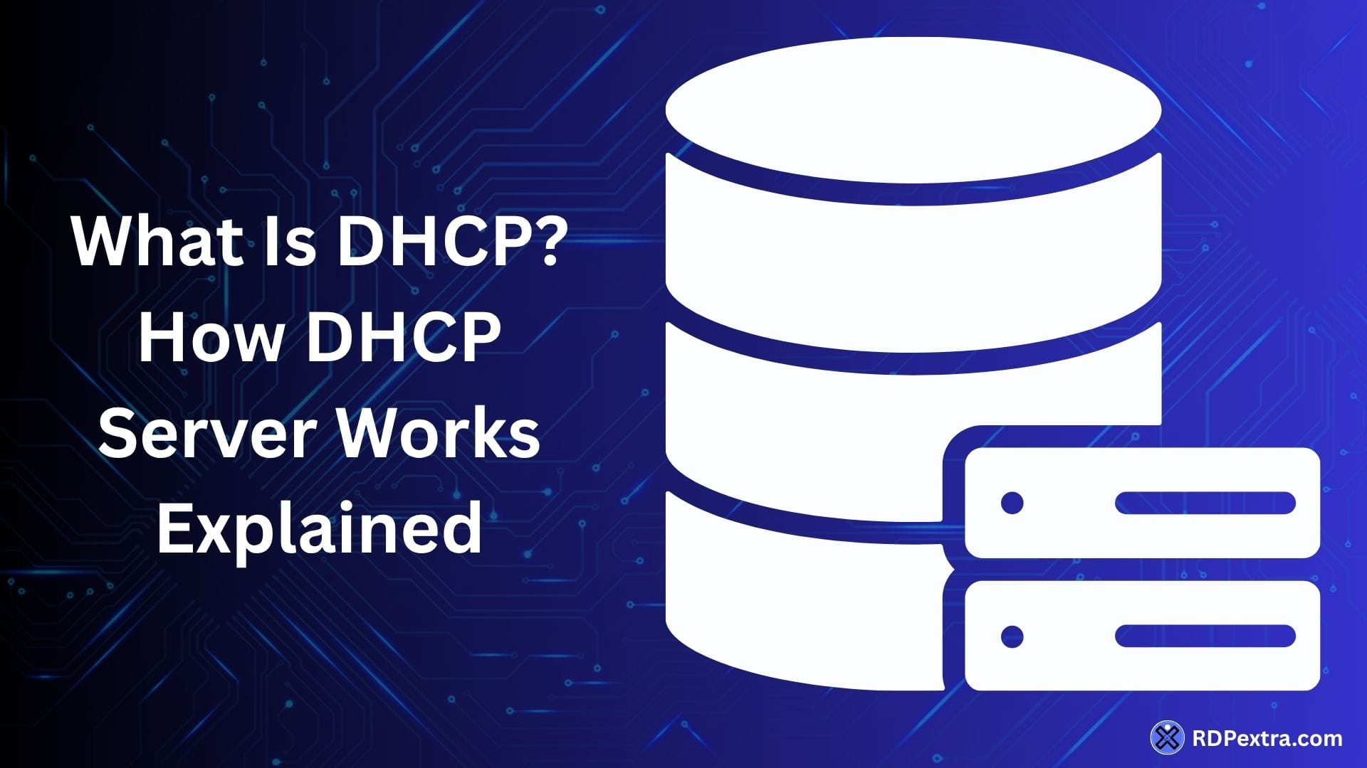 What is DHCP infographic featuring a server database icon and an overview of how DHCP servers automatically assign IP addresses to network devices.